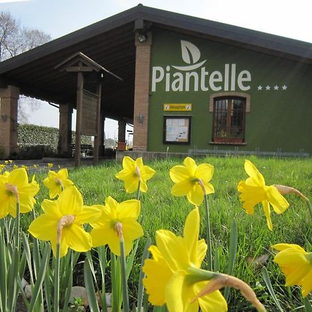 Camping Piantelle Moniga del Garda ภายนอก รูปภาพ