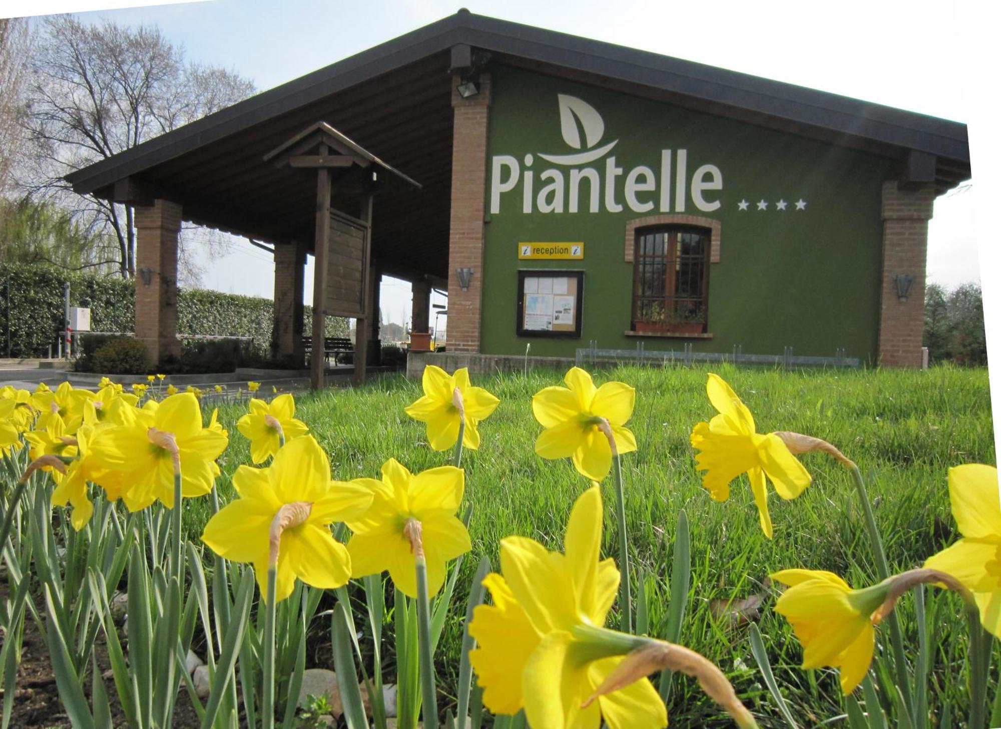 Camping Piantelle Moniga del Garda ภายนอก รูปภาพ